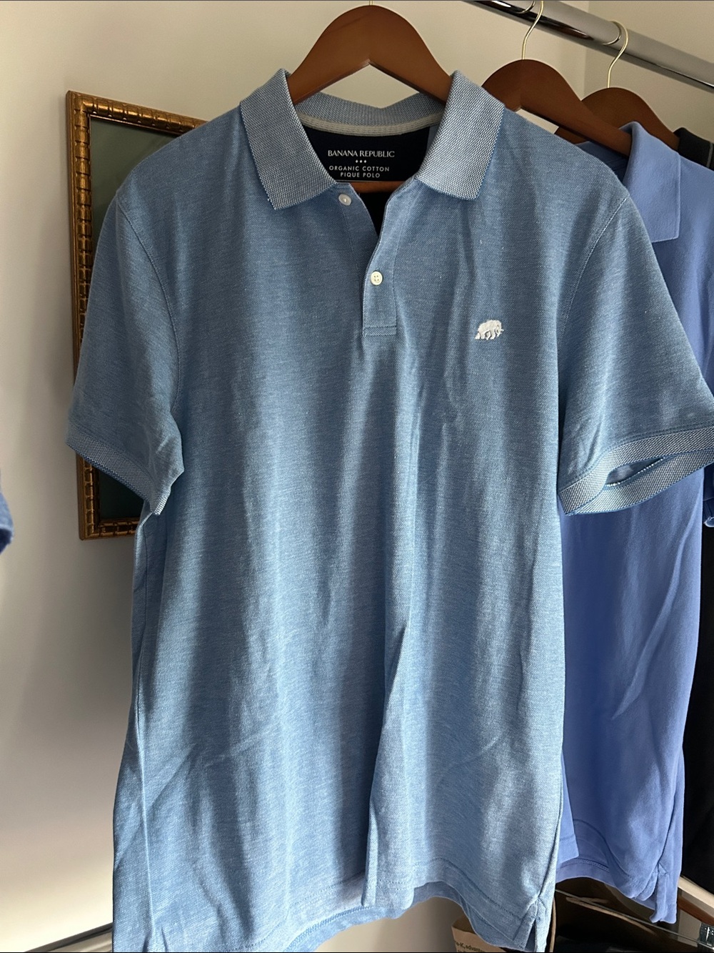 Banana Republic L Menβs Sky Blue Cotton Polo with Embroidered Logo